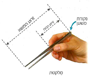 (בספר שני איורים, היעזר במנחה)